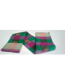 SALEM SILK SAREE WITH BLOUSE