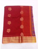 PL BIG BUTTA SAREE