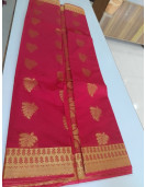 PL BIG BUTTA SAREE