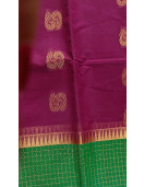 PL BIG BUTTA SAREE