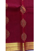PL BIG BUTTA SAREE
