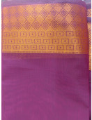 PL BIG BUTTA SAREE