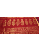 COIMBATORE KORA COTTON SAREE 620 MTS