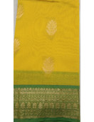 PL BIG BUTTA SAREE