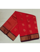 PL BIG BUTTA SAREE