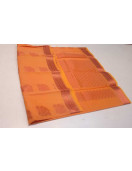 PL BIG BUTTA SAREE