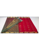 PL BIG BUTTA SAREE