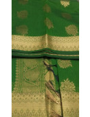 PL BIG BUTTA SAREE