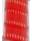 PL BIG BUTTA SAREE