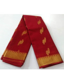 PL BIG BUTTA SAREE