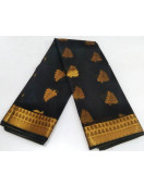 PL BIG BUTTA SAREE
