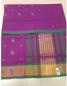 SAREES CUDDALORE COTTON 550 MTS