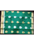 PL BIG BUTTA SAREE