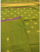 PL Softee Saree