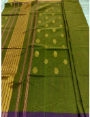 PL Softee Saree