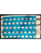 PL BIG BUTTA SAREE