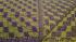 BEDSHEET ERODE JACQUARD 60X90