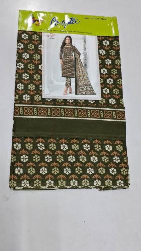 PL PRINTED CHUDIDHAR