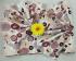 BEDSHEET ERODE AHEMADHABAD PRINT 90 X108 2 PILLOW COVER