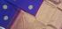 SALEM SILK SAREE WITH BLOUSE