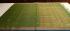 80S X 80S PMK COTSAREES WITH BLOUSE