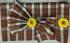 BEDSHEET PLAIN 90X108 2PILLOW COVER