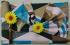 BEDSHEET ERODE AHEMADHABAD PRINT 72X90 2 PILLOW COVER