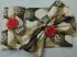 BEDSHEET ERODE AHEMADHABAD PRINT 72X90 2 PILLOW COVER