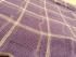 MOSQUITO NETS DOUBLE