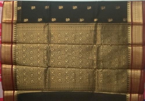 PL BIG BUTTA SAREE