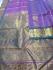 SALEM SILK SAREE WITH BLOUSE