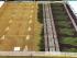 SAREES NEGAMAM WITH BLOUSE
