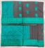 PL Saree Negamam Jacquard Border