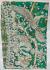 KALAMKARI PRINTED COTTON SAREE