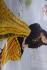PL PRINTED CHUDIDHAR