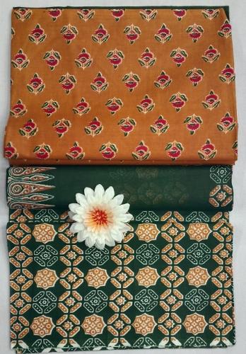 PL PRINTED CHUDIDHAR