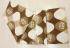 BEDSHEET ERODE AHEMADHABAD PRINT 72X90 2 PILLOW COVER