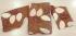 BEDSHEET ERODE AHEMADHABAD PRINT 72X90 2 PILLOW COVER