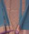 PL BIG BUTTA SAREE