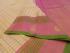 SAREES KPM SILK WITH BLOUSE