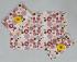 BEDSHEET ERODE AHEMADHABAD PRINT 72X90 2 PILLOW COVER