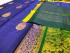 COIMBATORE KORA COTTON SAREE 620 MTS