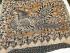 KALAMKARI PRINTED COTTON SAREE