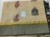 SAREES NEGAMAM WITH BLOUSE