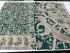 KALAMKARI PRINTED COTTON SAREE