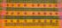 PL Salem Sarees Hand Block Printed Saree