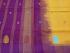 SAREES SALEM 80S WITH BLOUSE