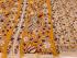 KALAMKARI PRINTED COTTON SAREE