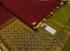 SALEM SILK SAREE WITH BLOUSE