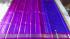 SAREES KPM SILK WITH BLOUSE